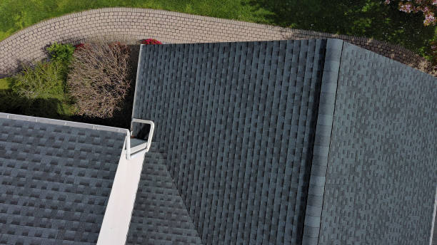 Best Roof Coating and Sealing  in Lake Nacimiento, CA