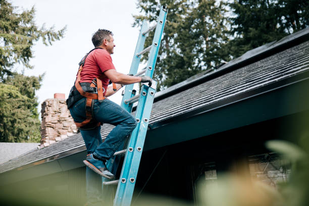 Best Metal Roofing Installation  in Lake Nacimiento, CA