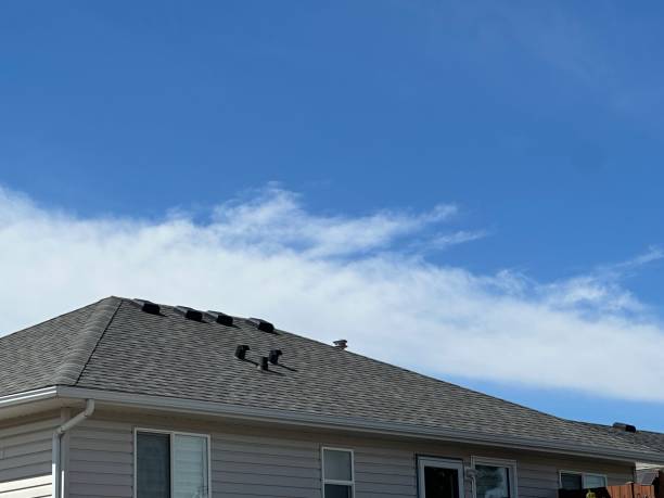 Best Roof Installation  in Lake Nacimiento, CA